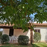 Il Punto * SantʼAntonio