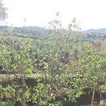 Il Punto Vakantieboerderij *