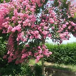 Vakantieboerderij Il Punto *