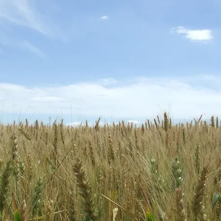 Il Punto Agroturismo