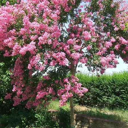 Agroturismo Il Punto *
