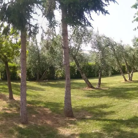 Agroturismo Il Punto *