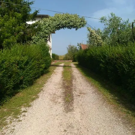 Il Punto *