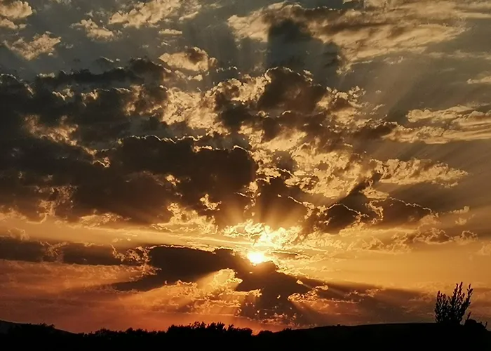 Il Punto Lantgård *