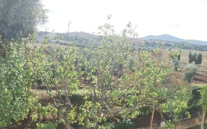 Il Punto Lantgård *