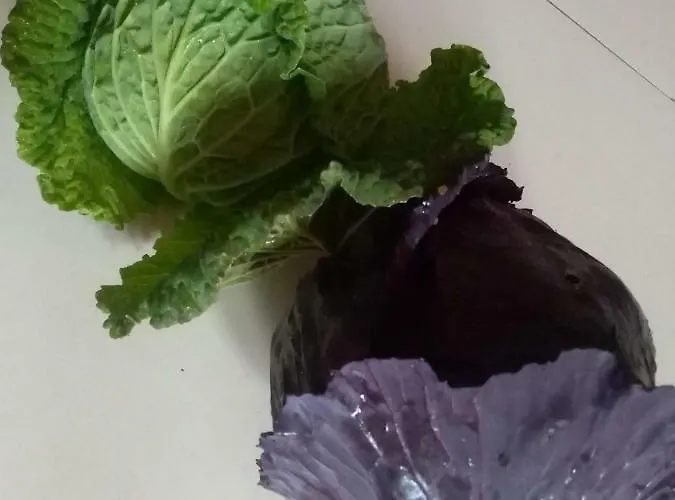 Lantgård Il Punto SantʼAntonio