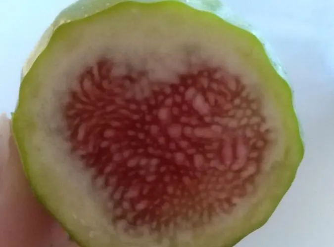 Il Punto Lantgård *